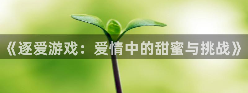 竞技宝app下载入口官网苹果